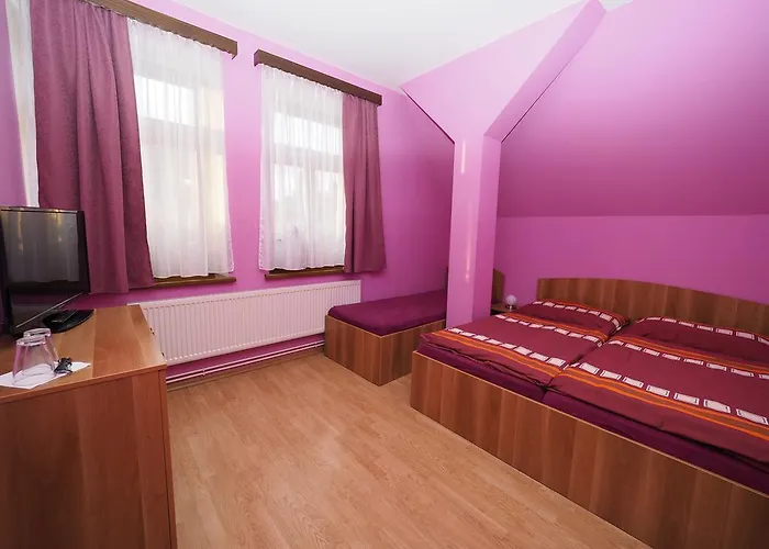 U Krejzu 3* Dolní Poustevna